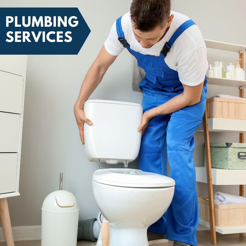 Plumbing Company in Lawton, IA